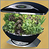 Aerogarden Kitchen Herb Garden 